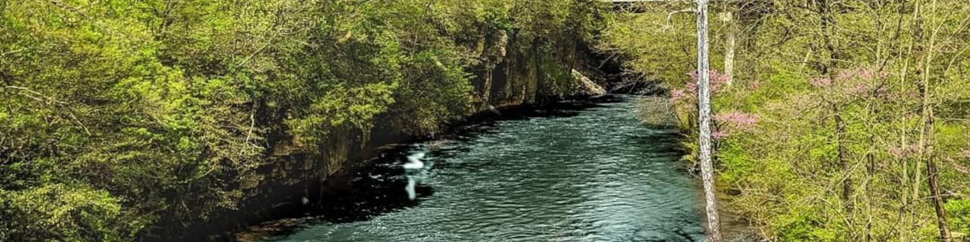 Okay I'll admit this photo is highly edited. The water is actually a nasty brown color. But this is from the suspension bridge.