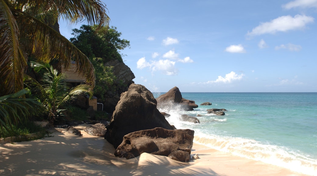 Grenada showing tropical scenes and a sandy beach