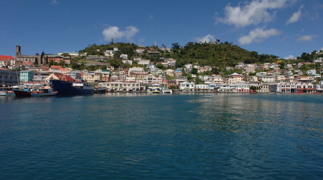 Grenada showing a bay or harbour and a coastal town