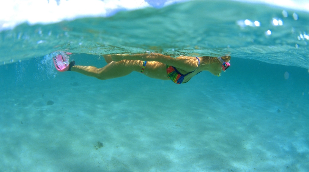 Grenada which includes snorkeling as well as an individual femail