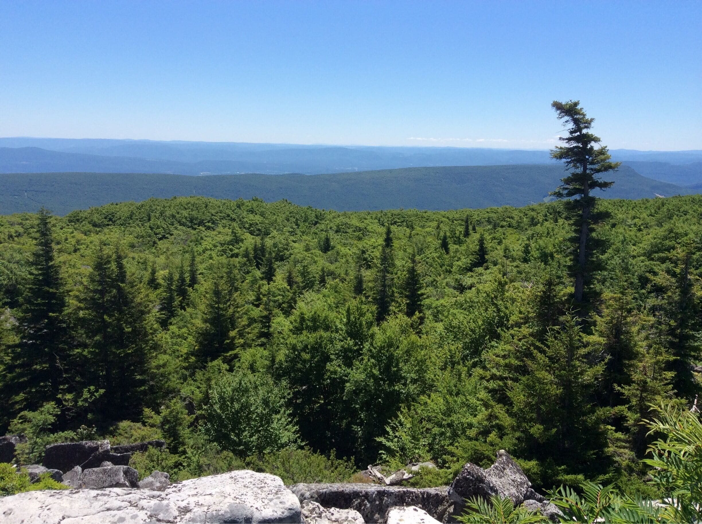 Dolly Sods in WV. Hard to get to but the views are great. Well worth the trouble. 