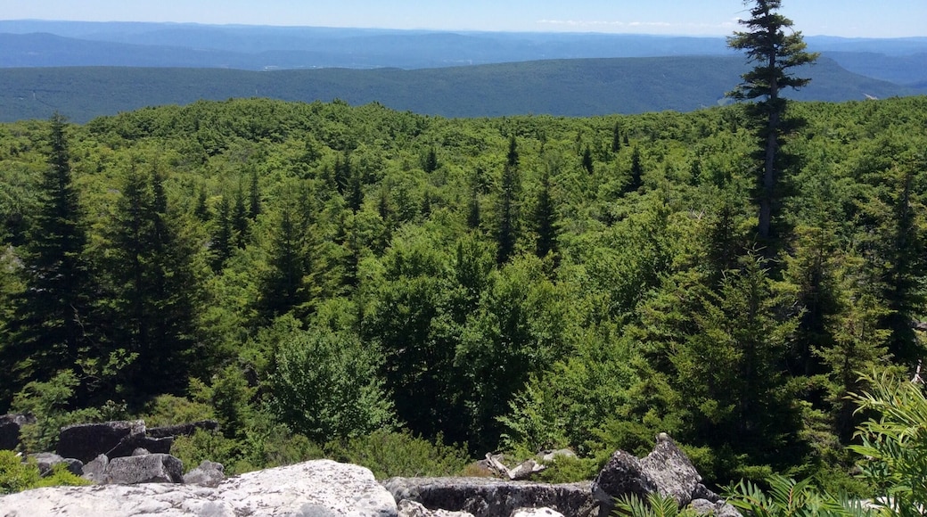 Dolly Sods in WV. Hard to get to but the views are great. Well worth the trouble.