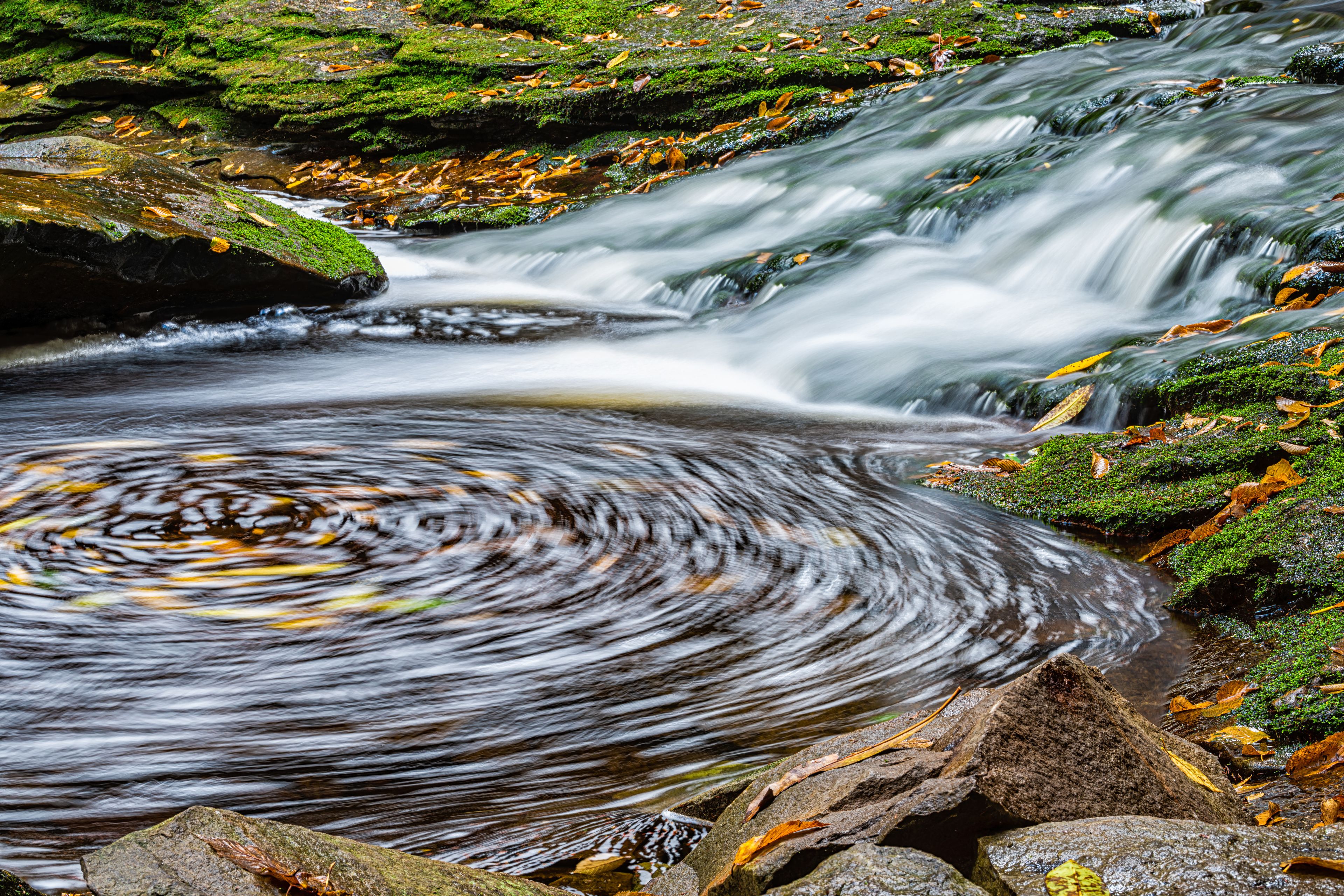 A flowing river with a smooth water surface, surrounded by moss-covered rocks and autumn leaves.