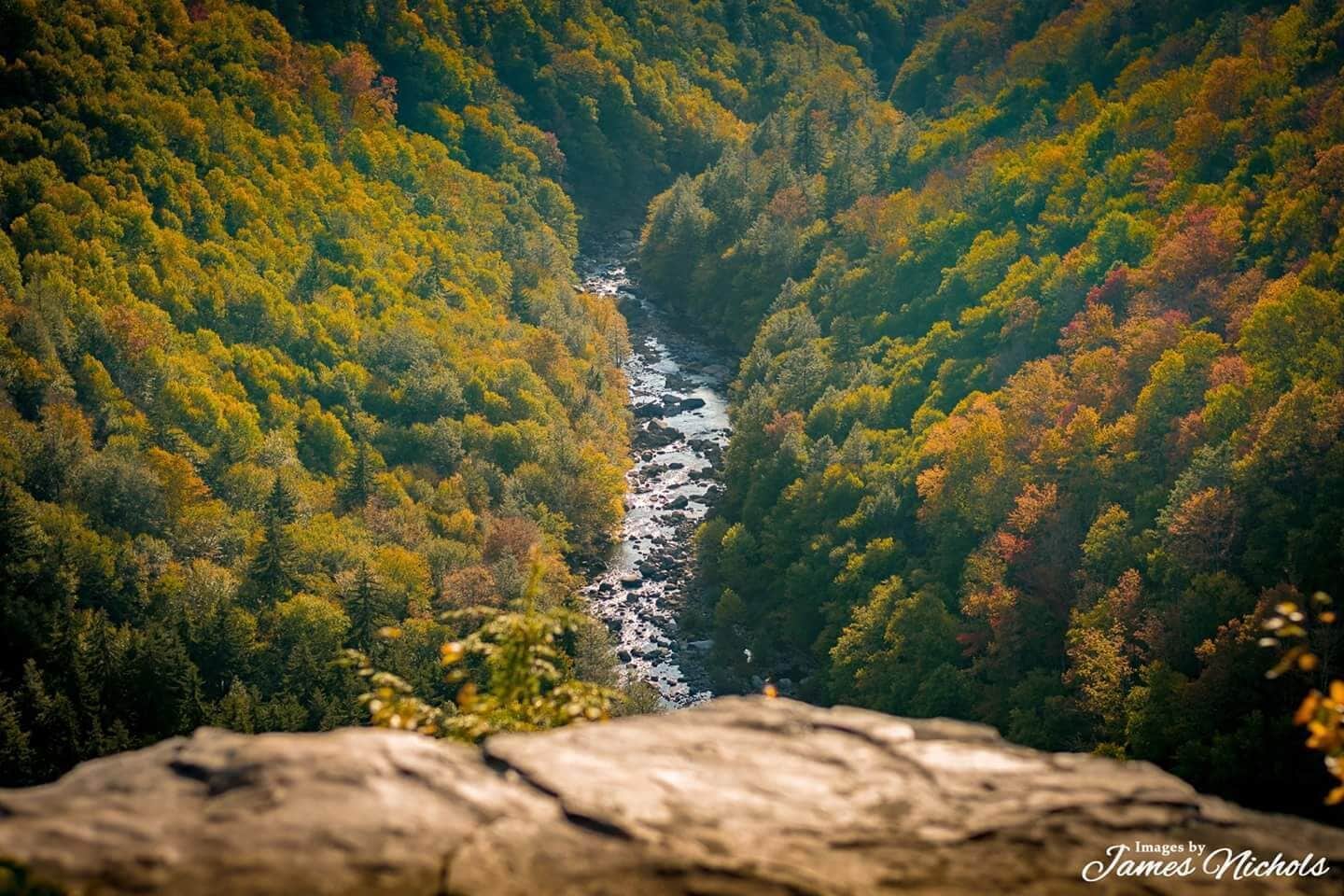 A view overlooking Pendleton Point at Blackwater Falls in Davis WV. #autumniscoming