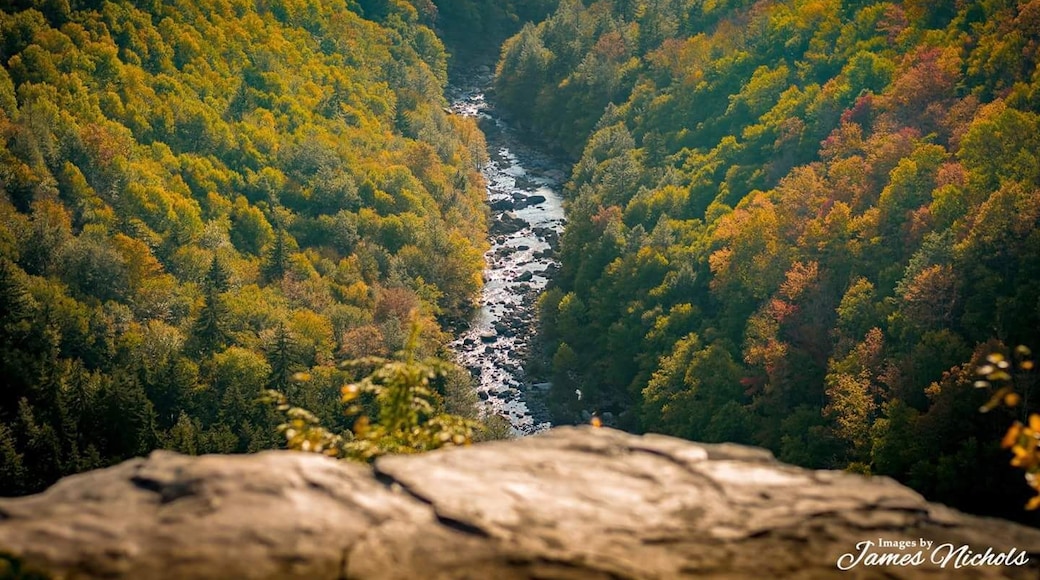 A view overlooking Pendleton Point at Blackwater Falls in Davis WV. #autumniscoming