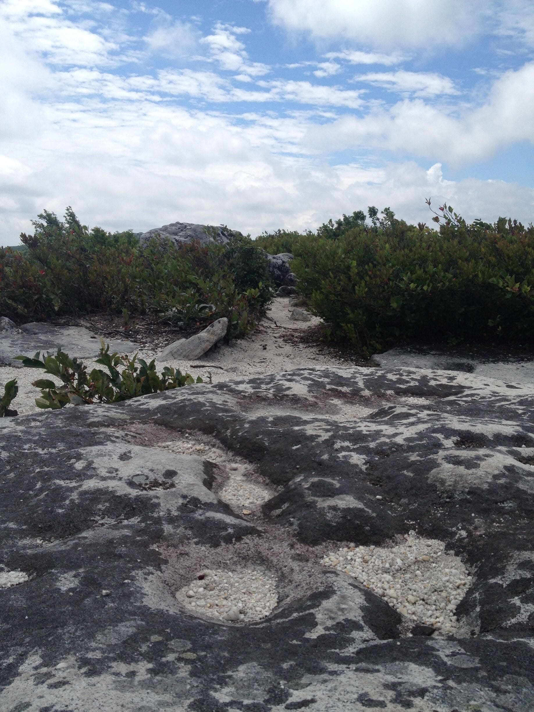 This magical place has such a neat environment - similar to that of northern Canada 
