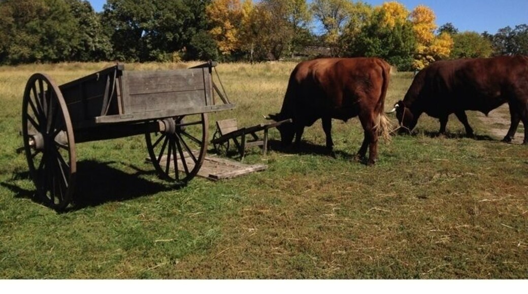 Walk through farms and villages from different periods of time, incredible museum and park that takes guests through an interactive tour!