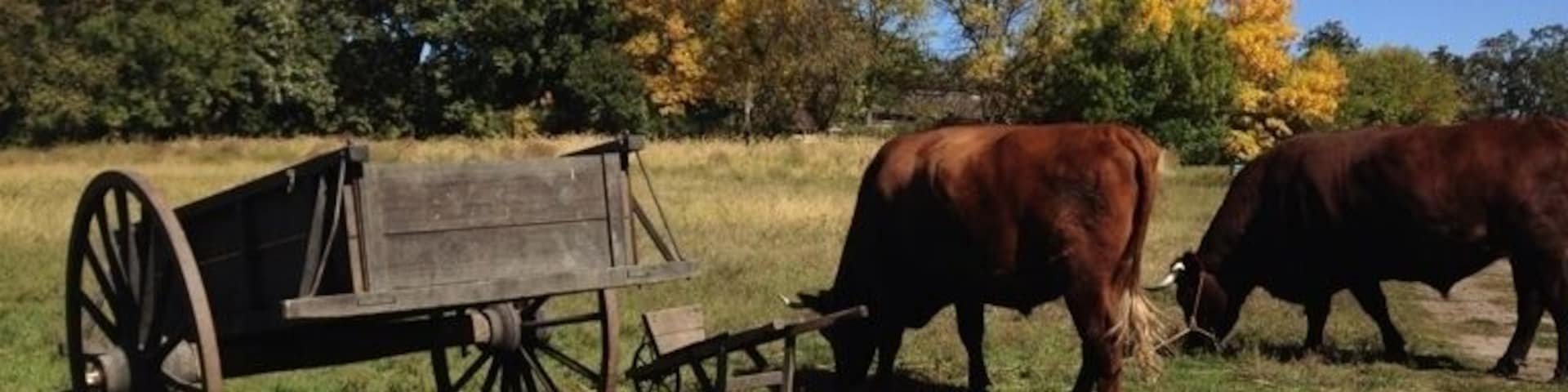Walk through farms and villages from different periods of time, incredible museum and park that takes guests through an interactive tour!