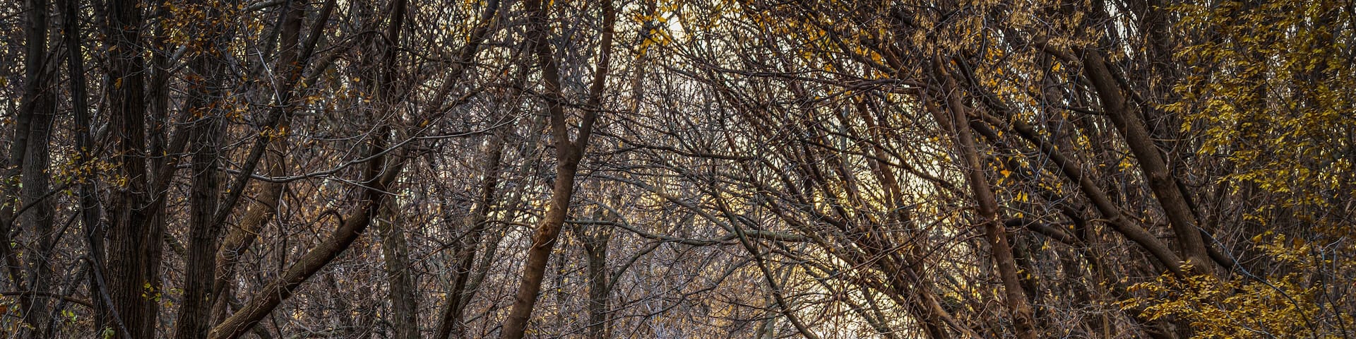 Greenbelt Trail in Clive, Iowa