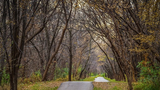 ํด๋ฆฌ๋ธ