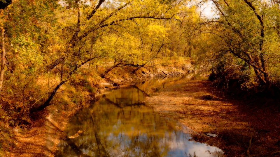 A river surrounded by autumn foliage.