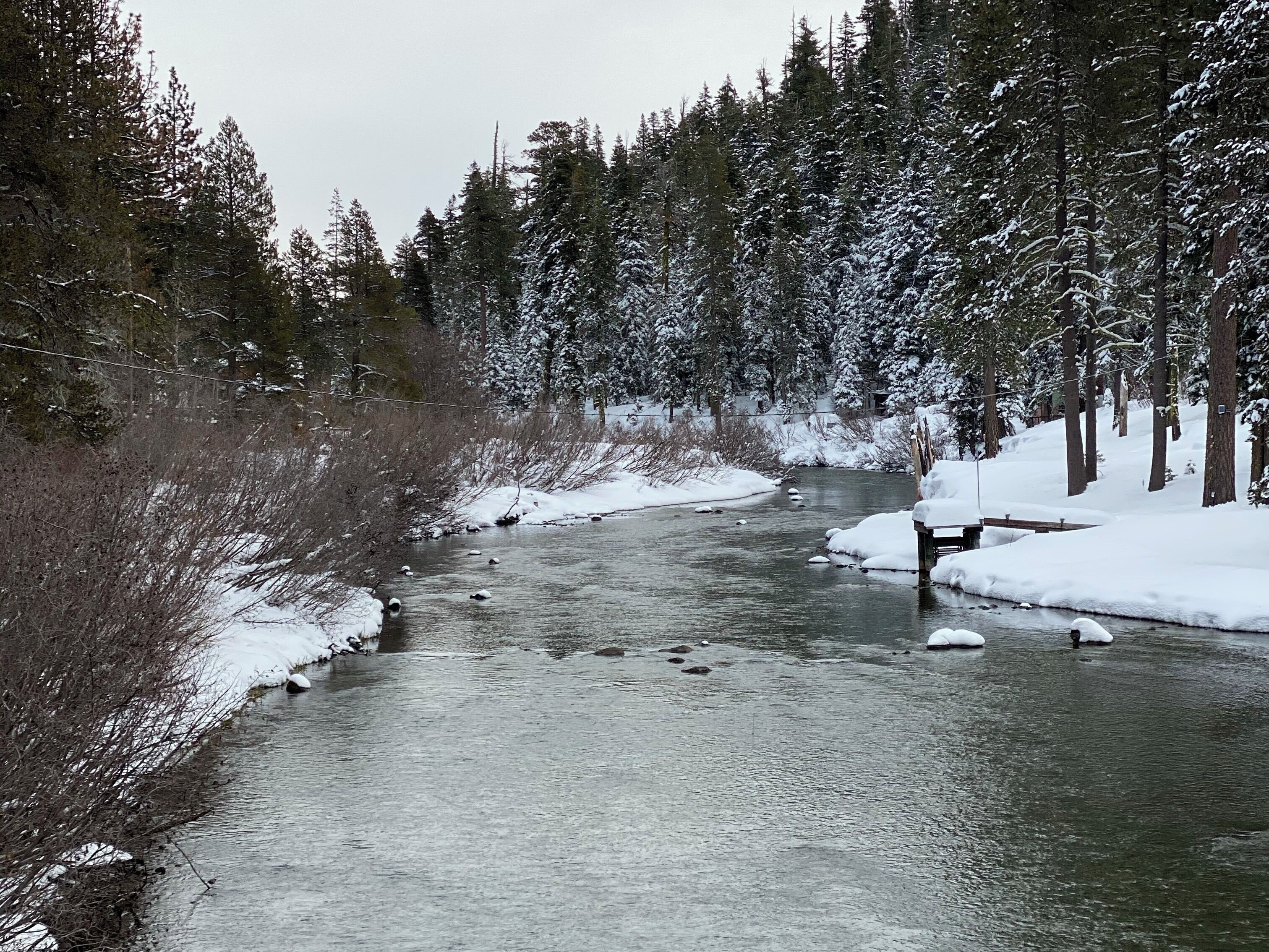 A nice long bike path that follows along the #truckeeriver near #laketahoe #snow #winterstroll #nature