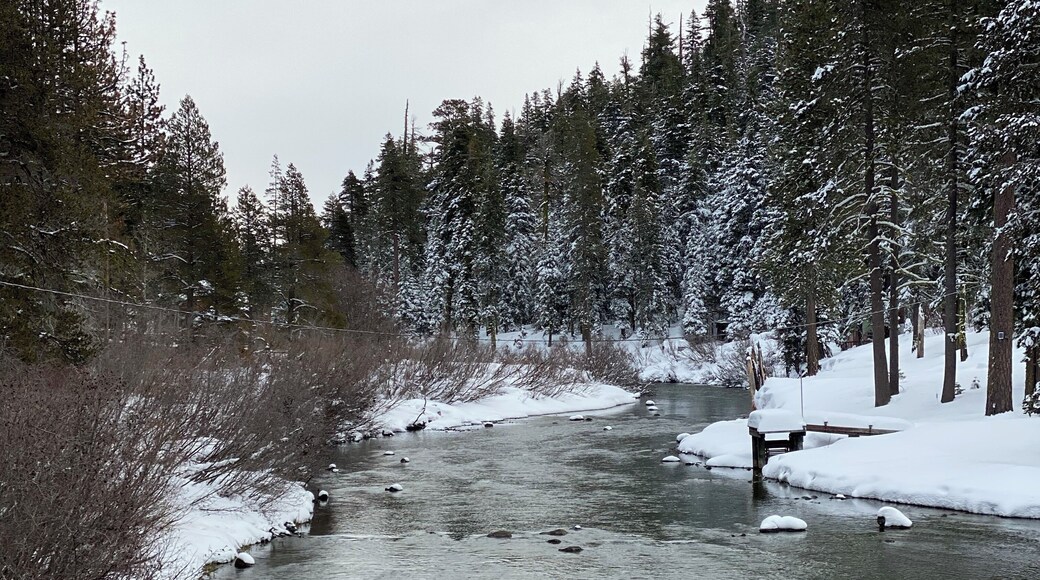 A nice long bike path that follows along the #truckeeriver near #laketahoe #snow #winterstroll #nature