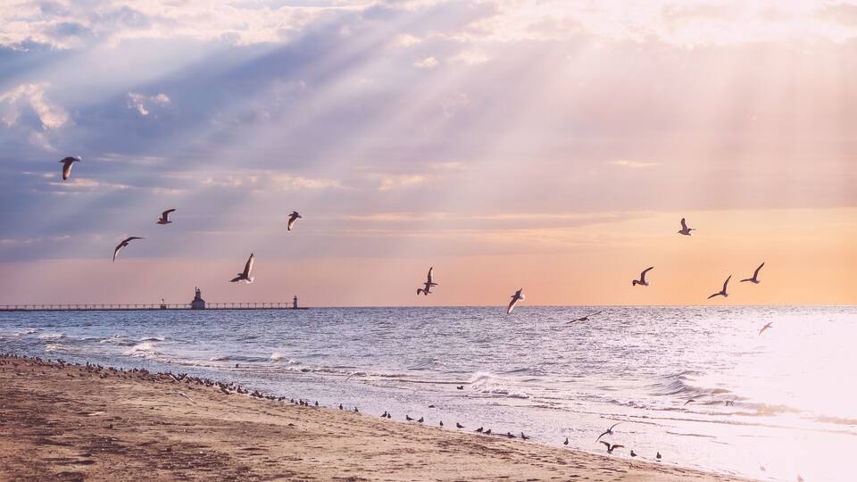 A beach with seagulls flying over the water and a pier in the distance.