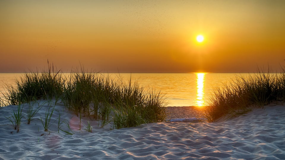 A beach at sunset with sand dunes and grasses.