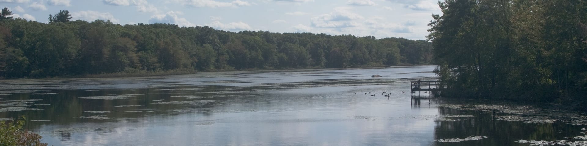 Pond Meadow Park in Braintree, MA