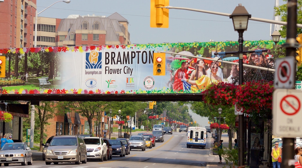 Brampton featuring a city, street scenes and signage