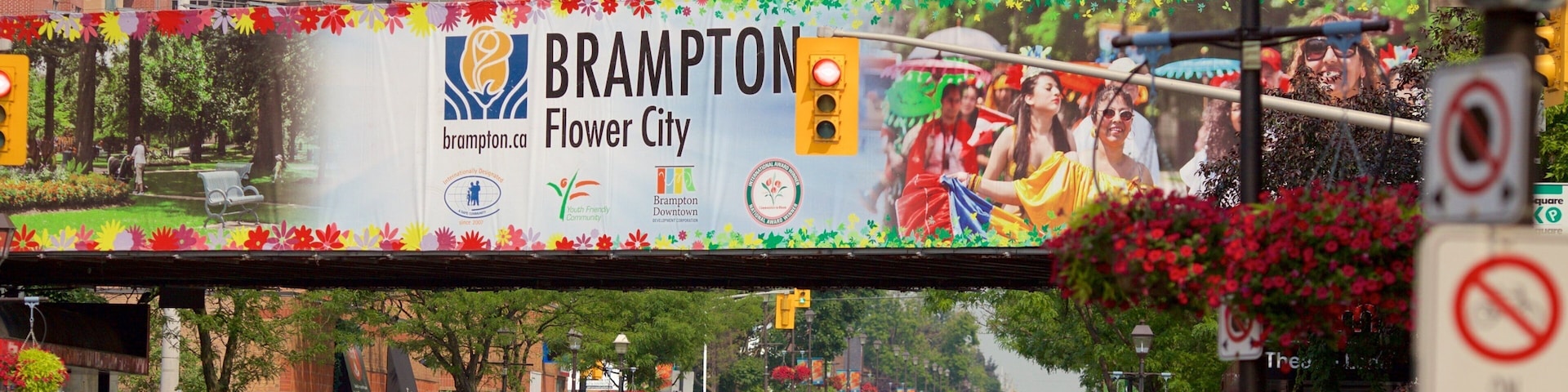 Brampton featuring a city, street scenes and signage