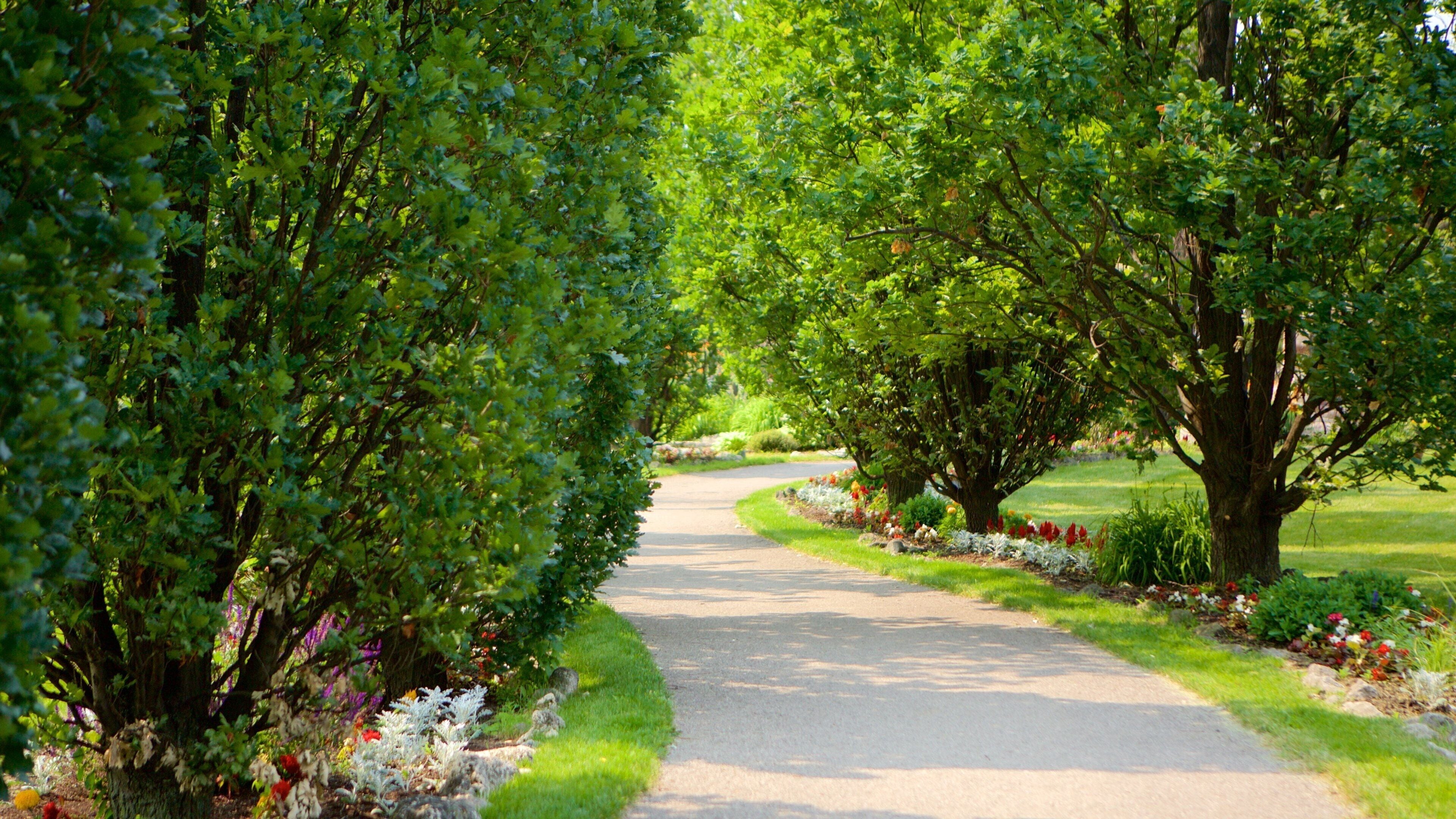 Brampton featuring a park and flowers