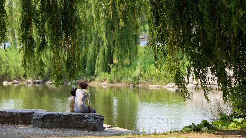 Brampton mit einem Park und Teich sowie Paar