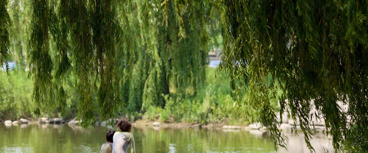 A couple sitting on a stone ledge by a calm river, surrounded by weeping willow trees.