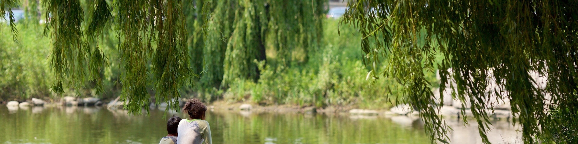 A couple sitting on a stone ledge by a calm river, surrounded by weeping willow trees.