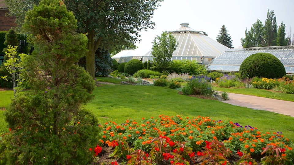 A greenhouse garden with a variety of flowers and plants.