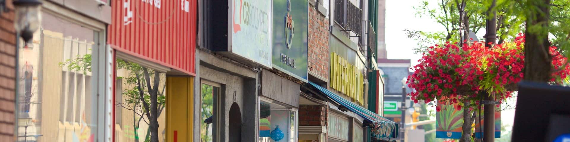 Brampton featuring street scenes and signage as well as a small group of people