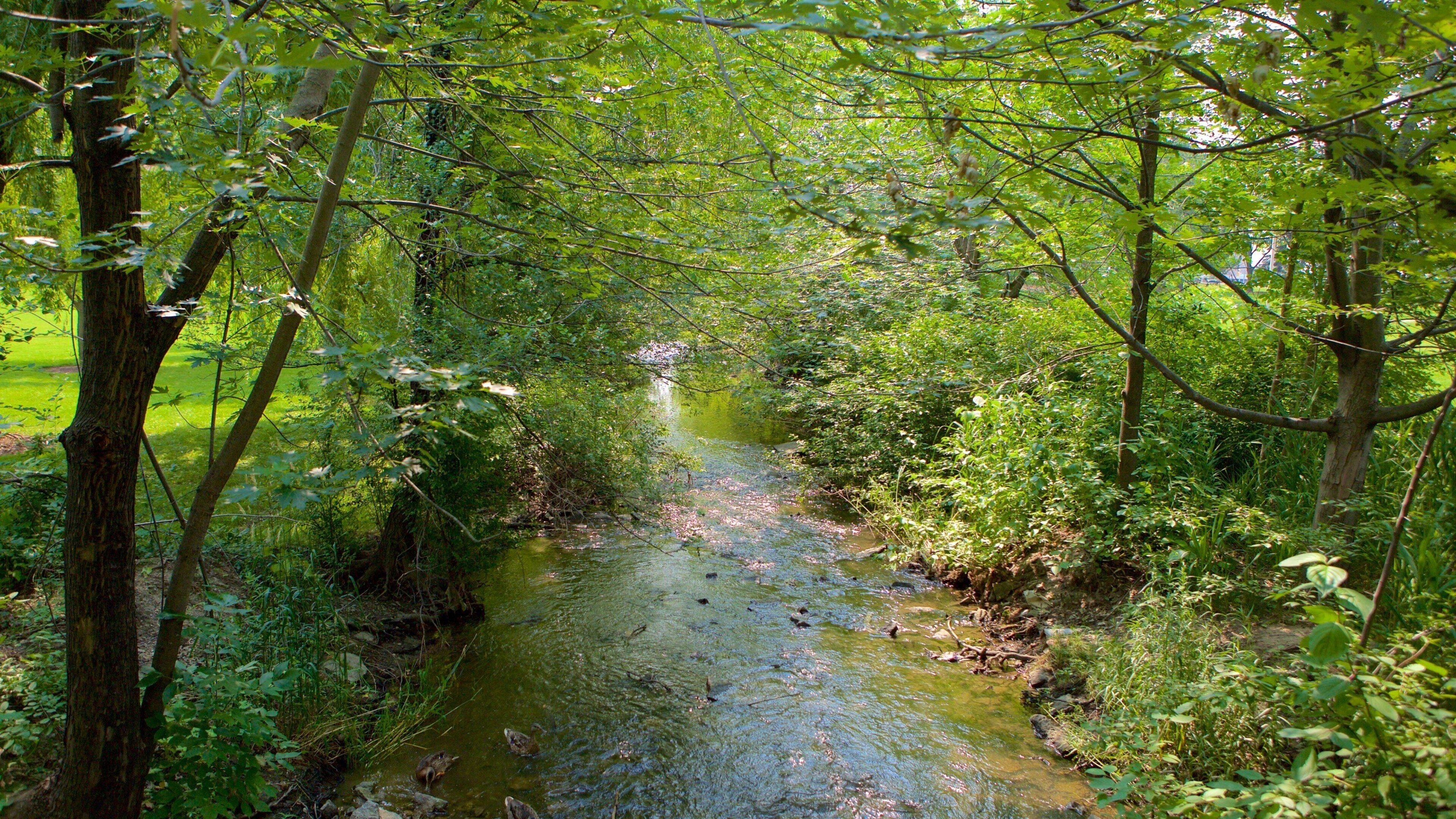Brampton featuring a garden and a river or creek