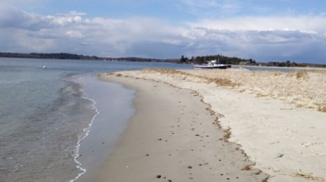 Such beauty in its own