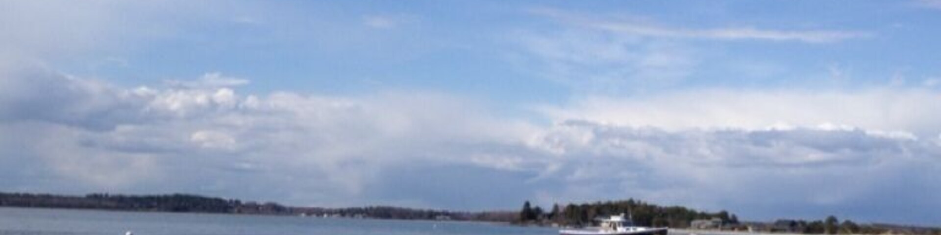 Such beauty in its own