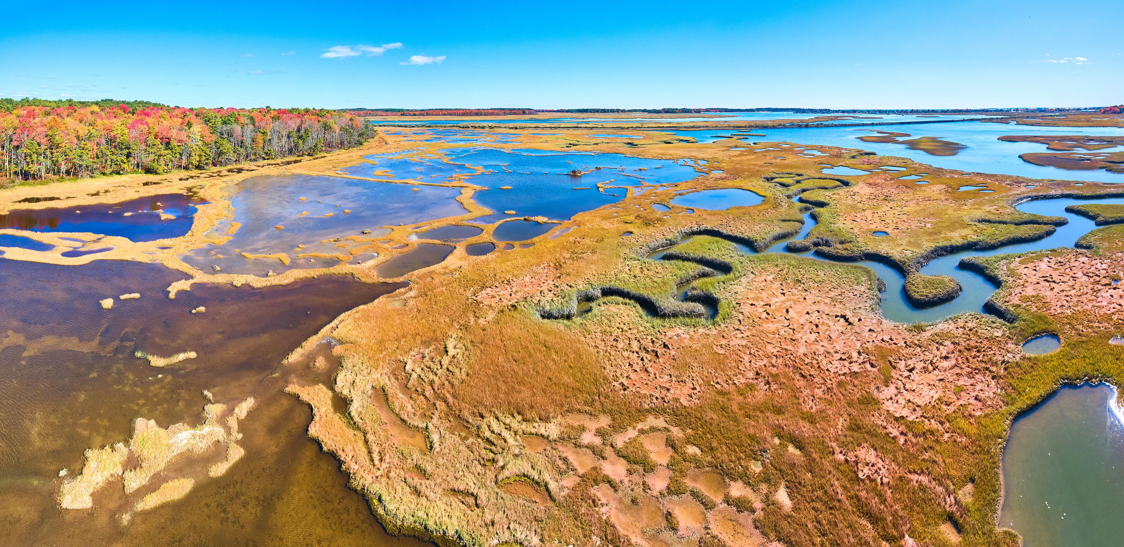 Fall forest surround marshes of Maine with winding creeks