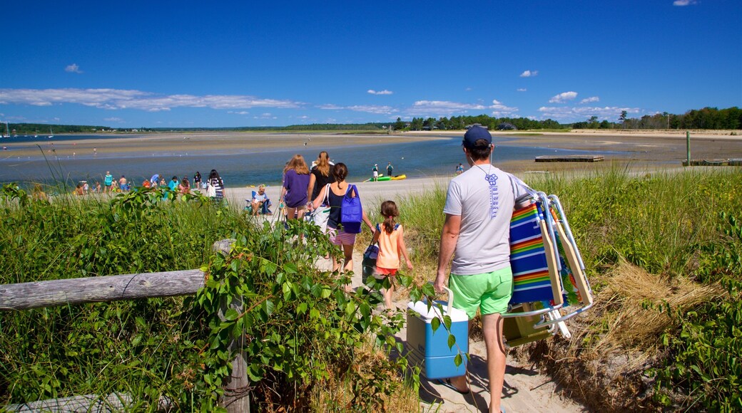 Scarborough showing general coastal views and a beach as well as a family