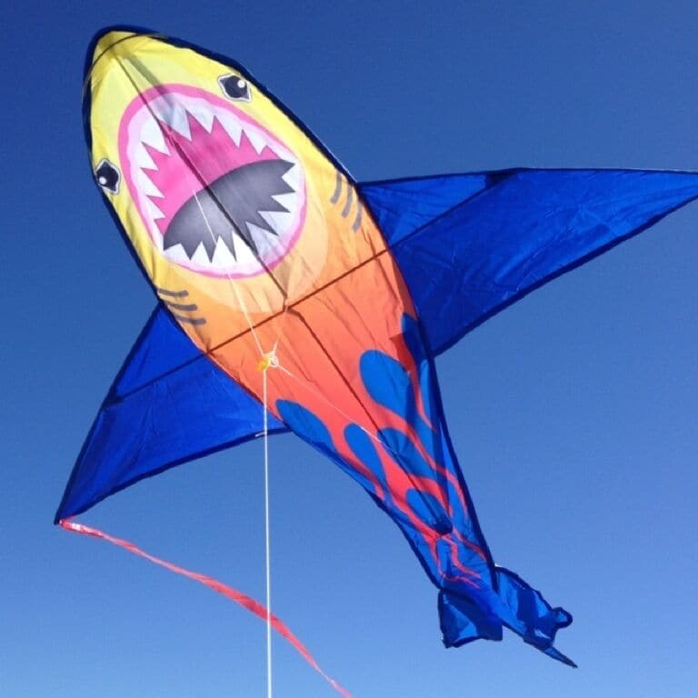 On a windy day - perfect for the kites