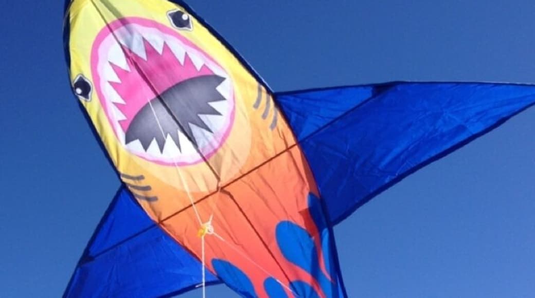 On a windy day - perfect for the kites