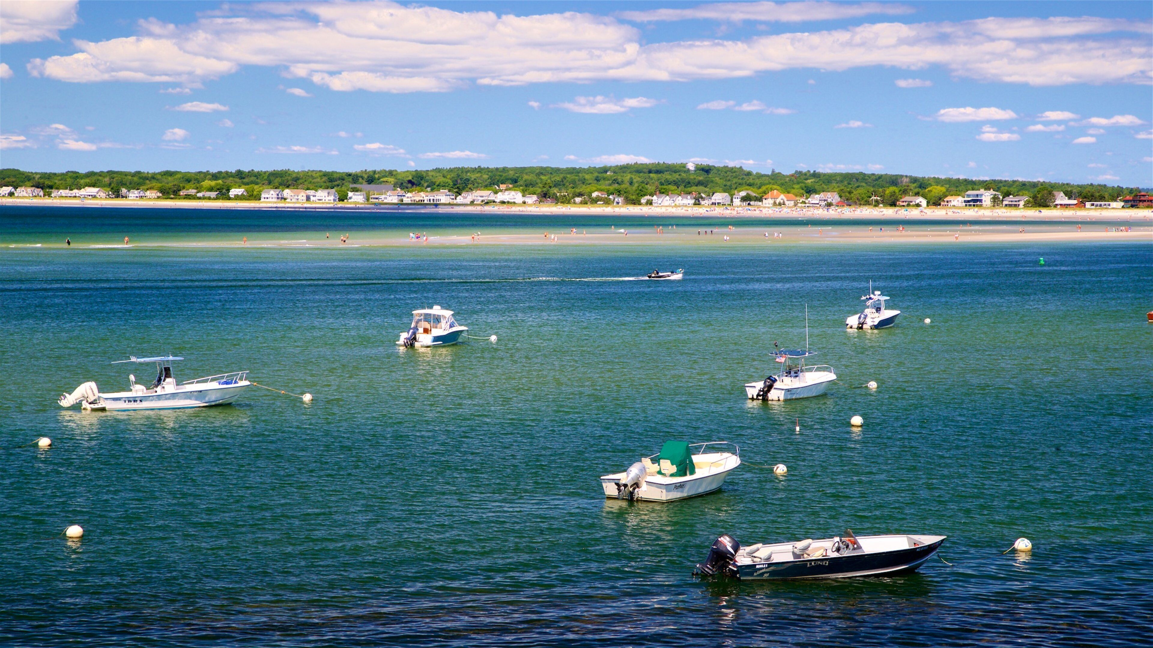 A coastal area with several boats anchored in calm waters, a sandy beach, and a forested hill in the background.