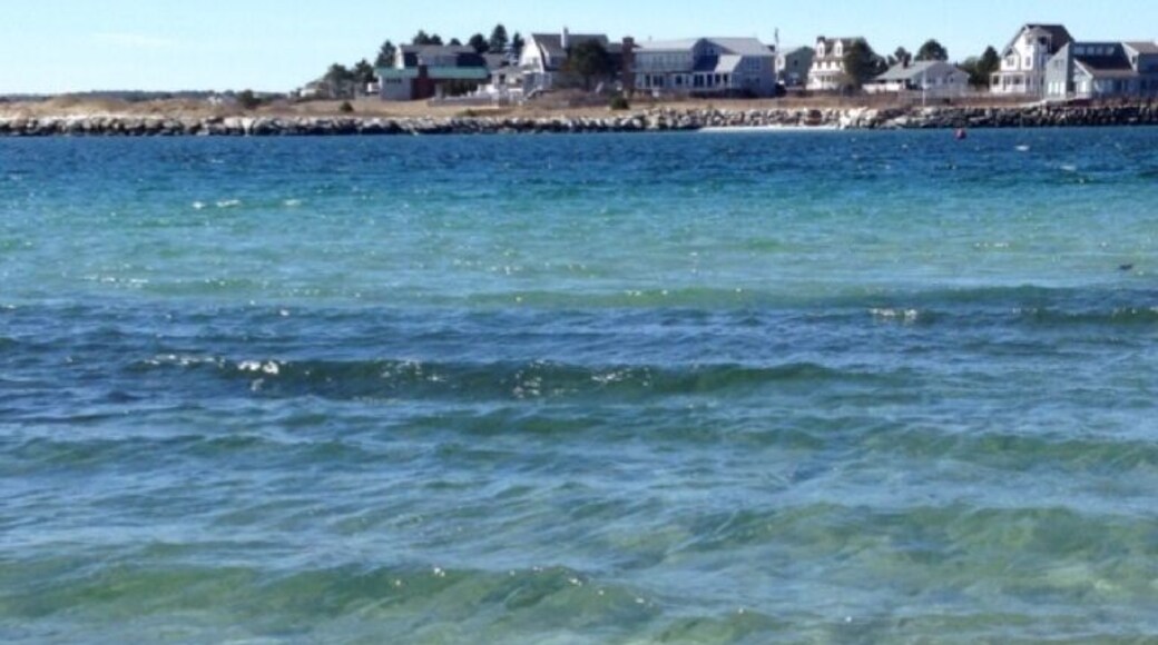 The water was so pretty greens to blues to green-blues, and it was cold! But, there was a wind surfer out there . Just beautiful to look at.