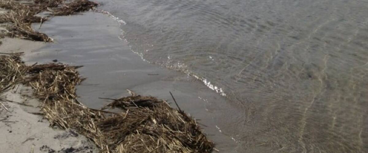 Down on beach all alone. Wonderful!