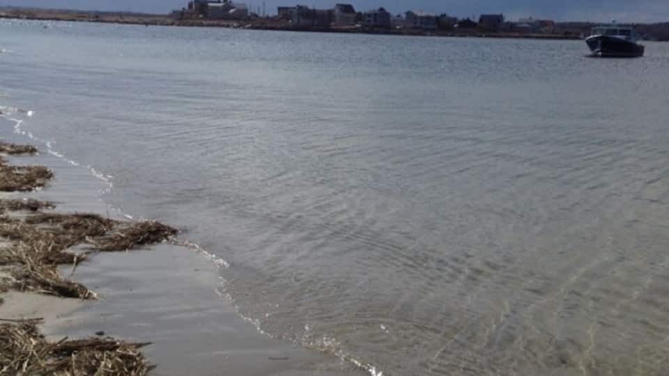 Down on beach all alone. Wonderful!