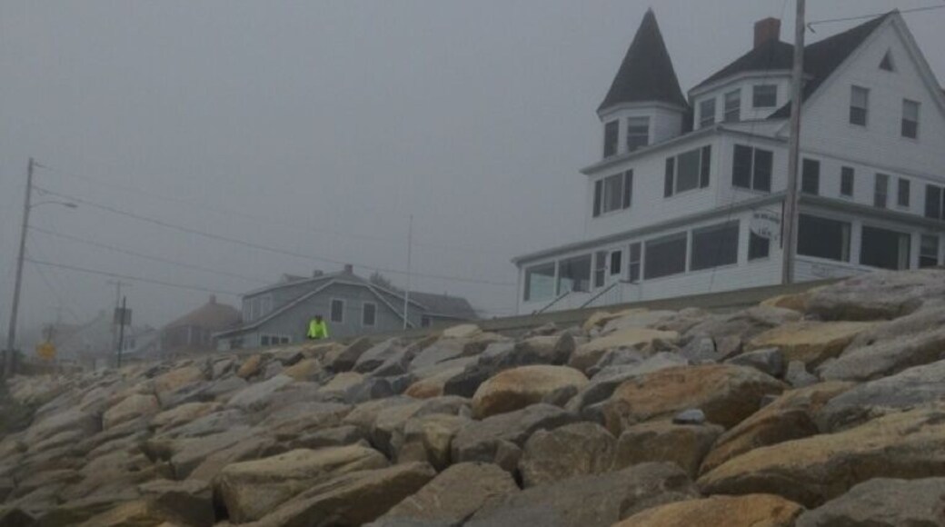 At Higgins enjoying the waves-tide is coming in and it's very foggy out here, but the water is warm.
