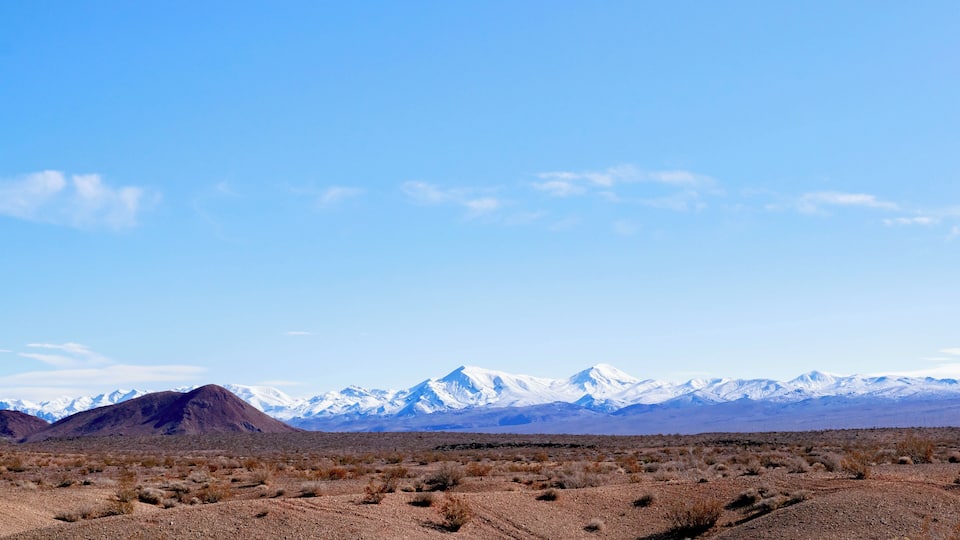A desert landscape with sparse vegetation and snow-capped mountains in the distance.