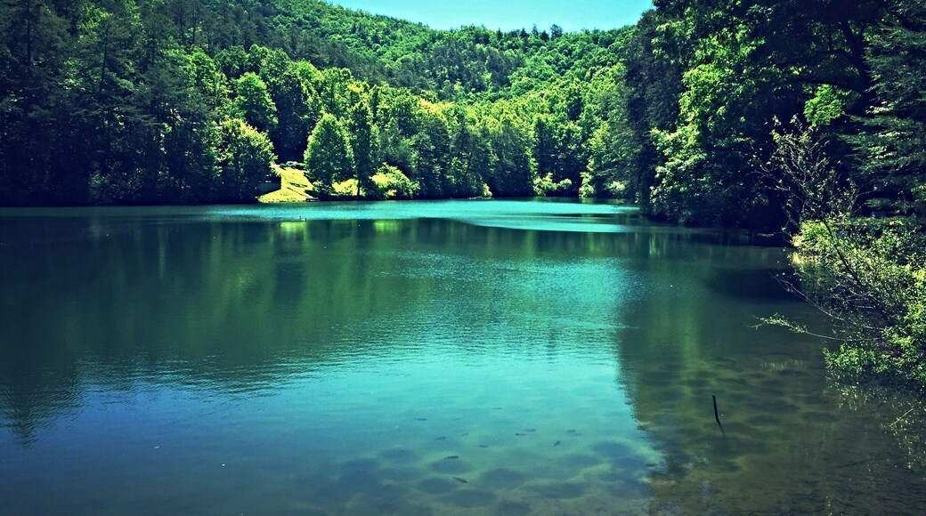 Rented a cabin right near this quant little #marianlake in #sevierville in the #smokymountains. Great weekend getaway.