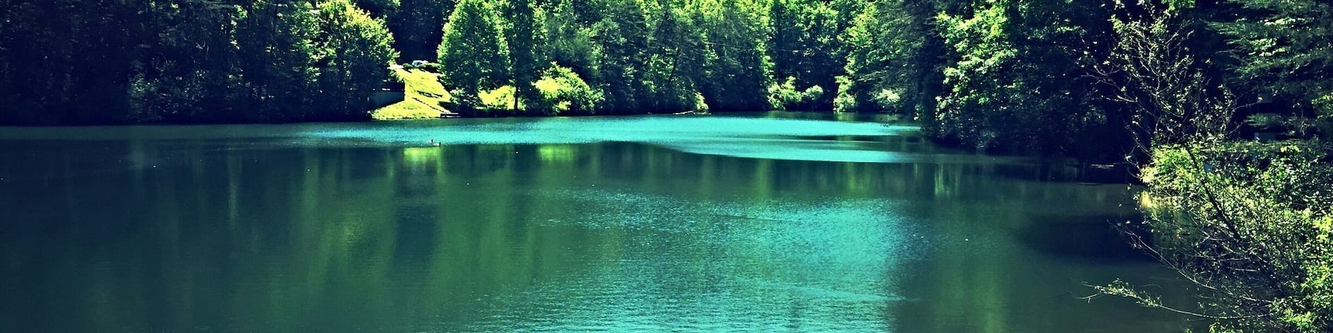 Rented a cabin right near this quant little #marianlake in #sevierville in the #smokymountains. Great weekend getaway.