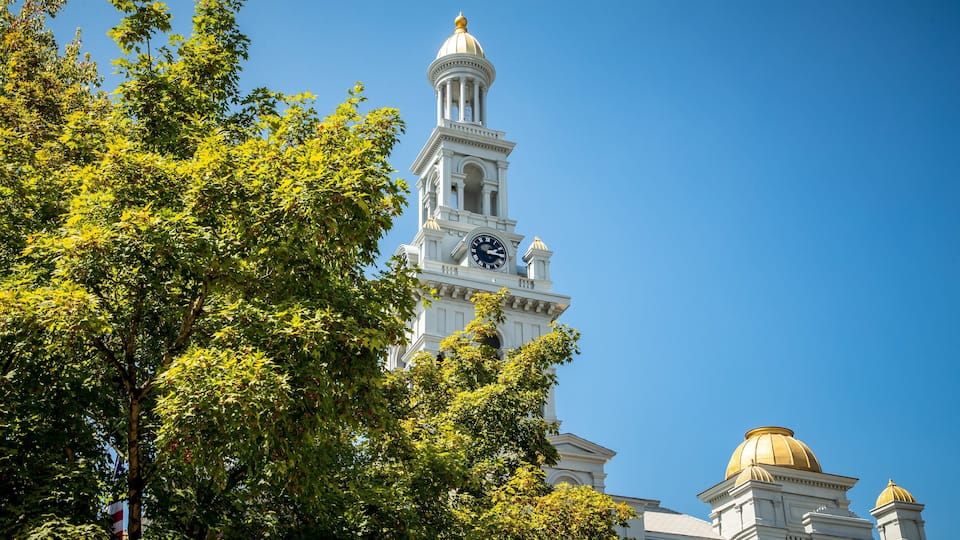 A white clock tower with a gold dome against a clear blue sky, surrounded by lush green trees.