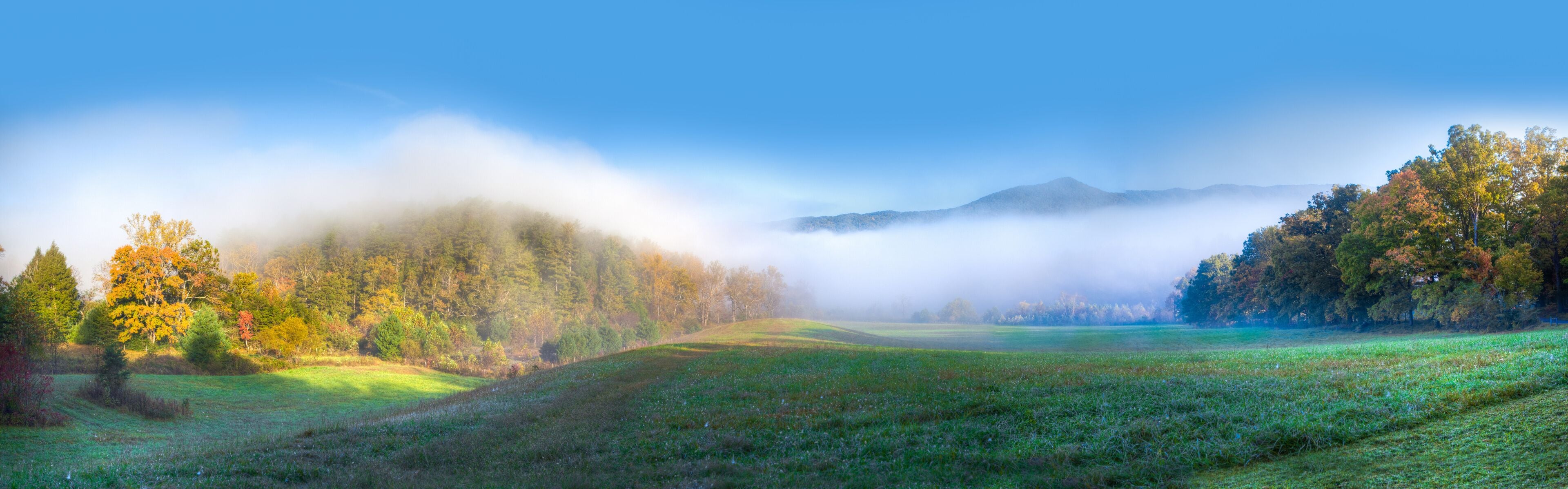 A misty landscape with a field, trees, and mountains in the background.