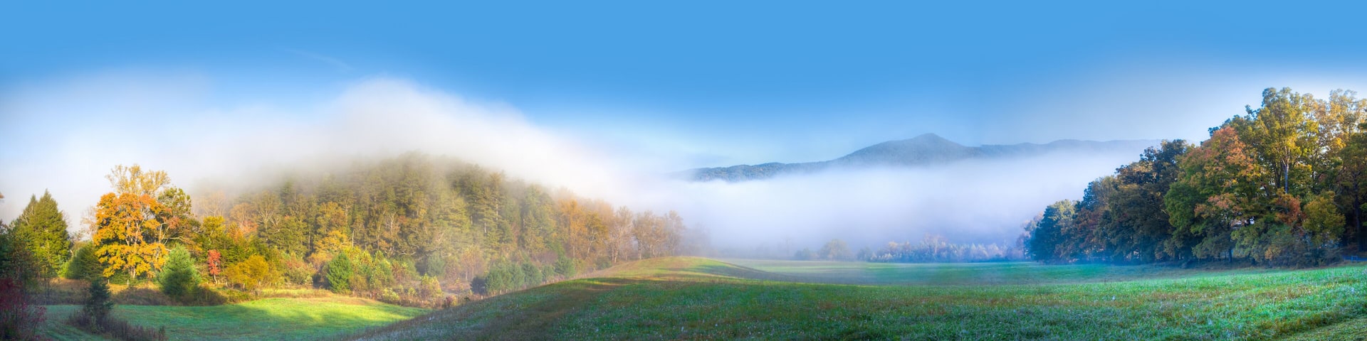 A misty landscape with a field, trees, and mountains in the background.