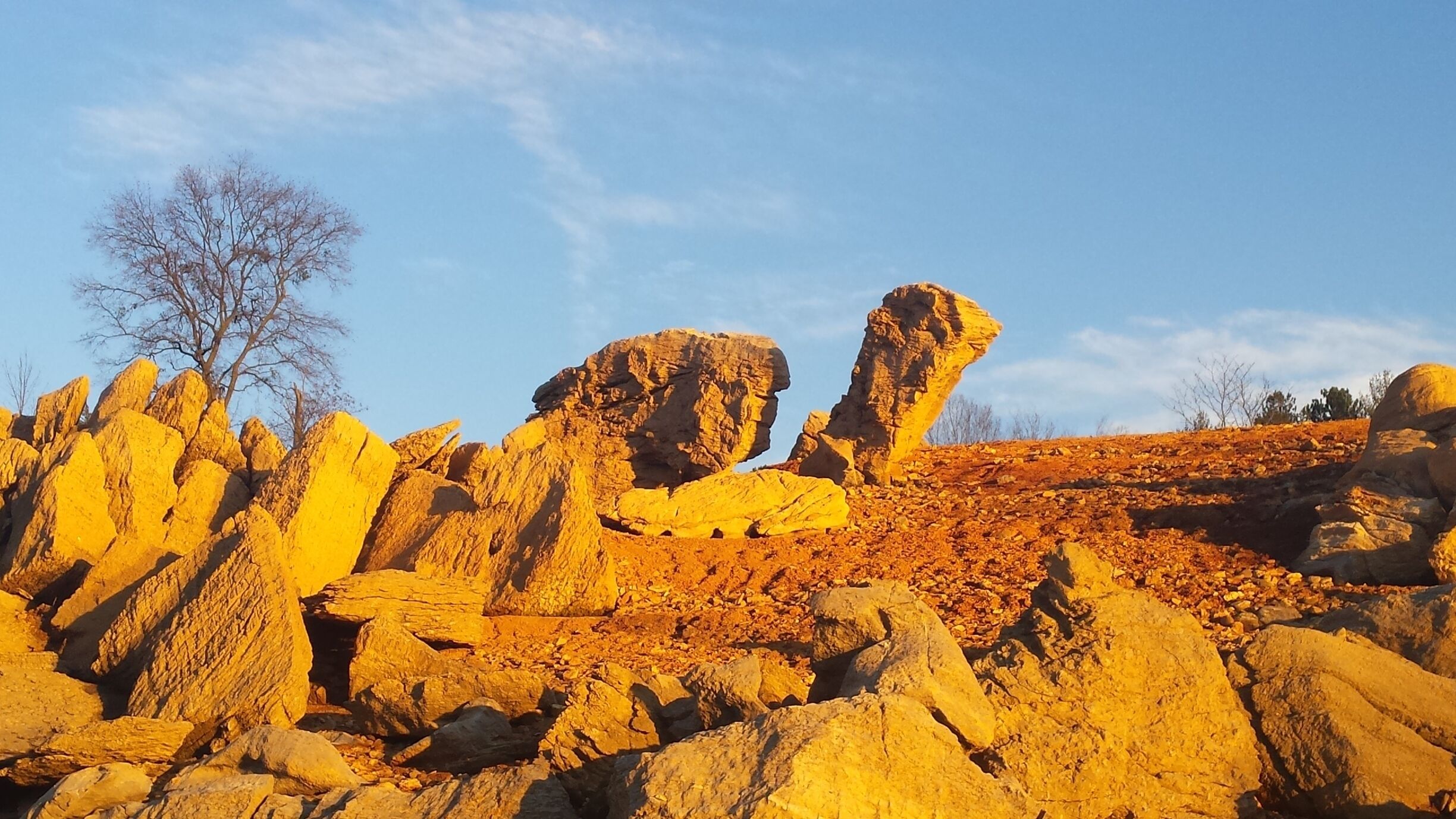 "Turtle rock" taken while paddling in Douglas Lake in Dandridge, TN