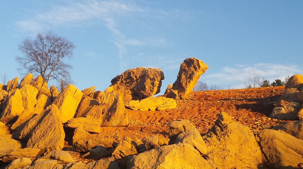 "Turtle rock" taken while paddling in Douglas Lake in Dandridge, TN