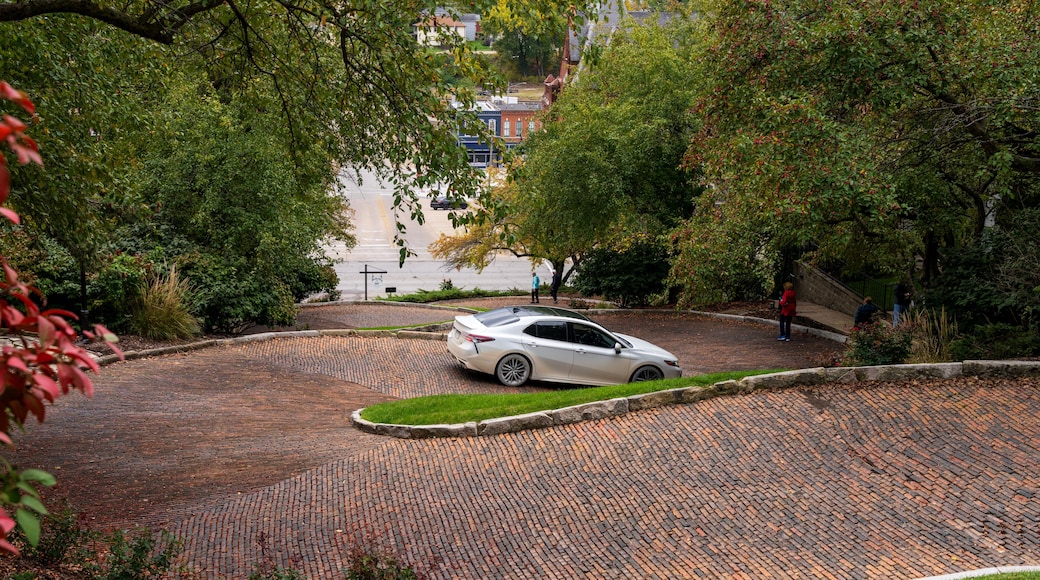 Car driving down Snake Alley in Burlington Iowa which has the world record for steepest bendy street