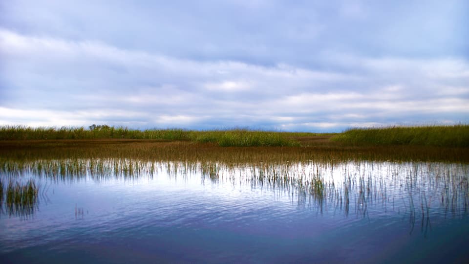 A calm lake with reflections of the sky and surrounding vegetation.